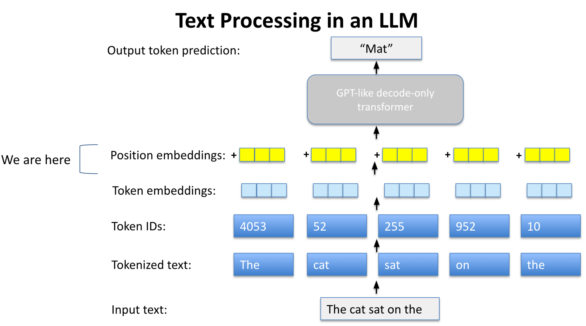 Text Processing in an LLM