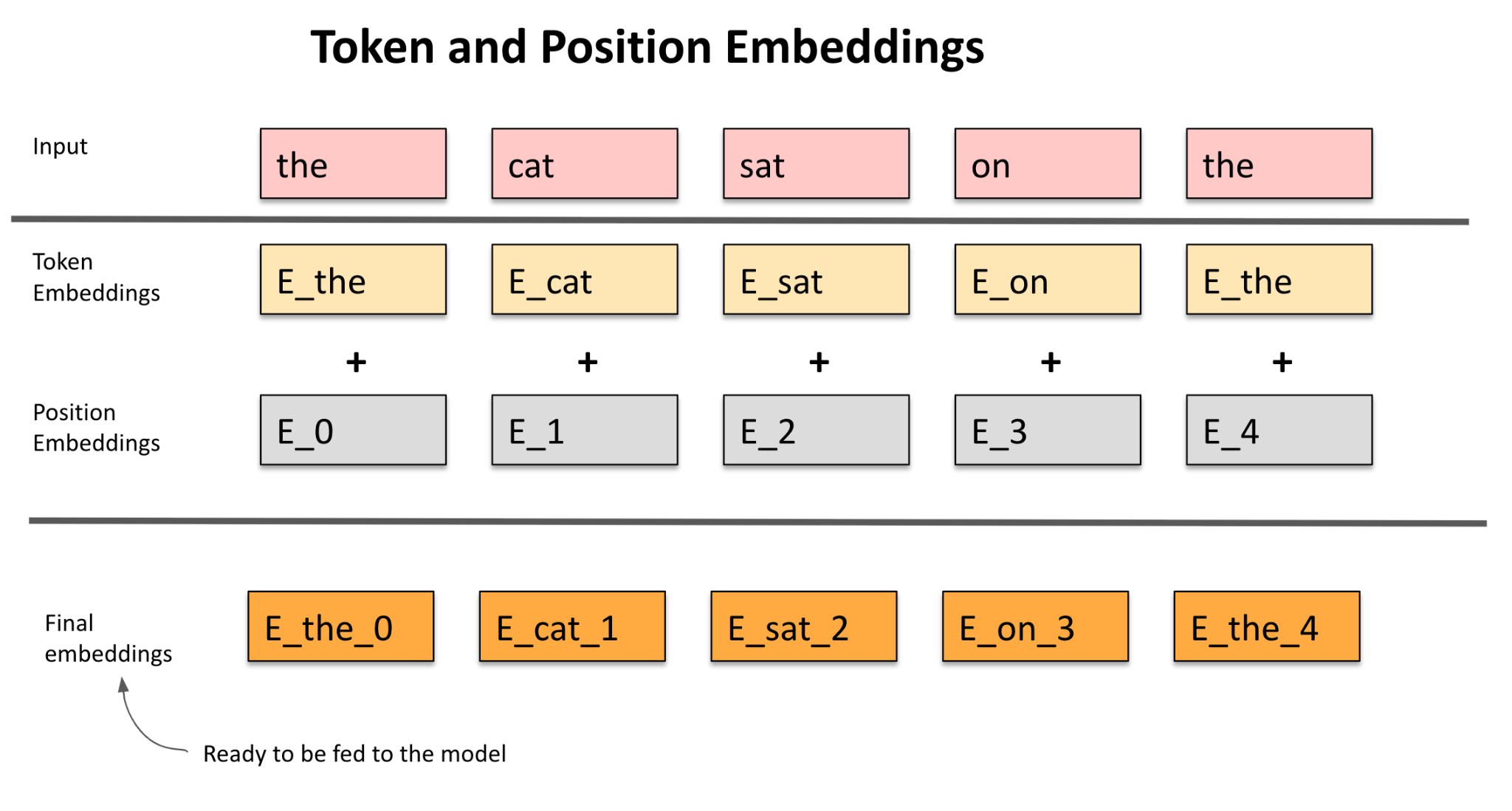 Token and Position Embeddings